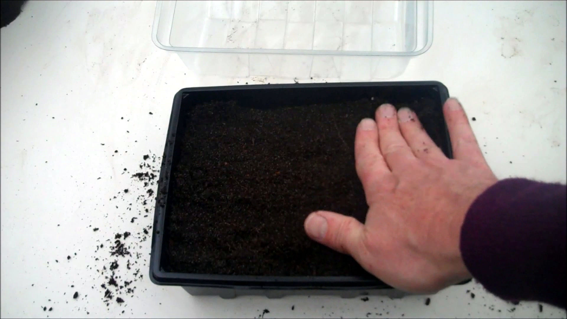 fill with compost