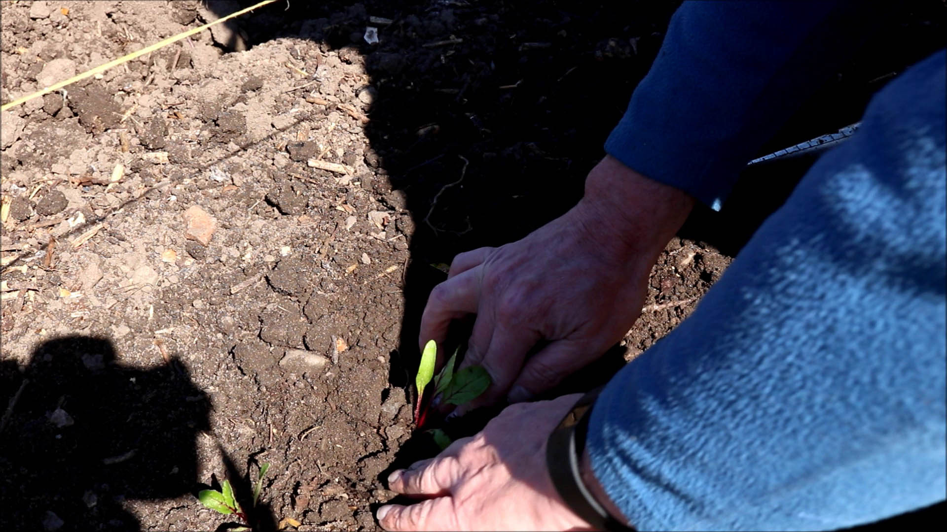 press soil