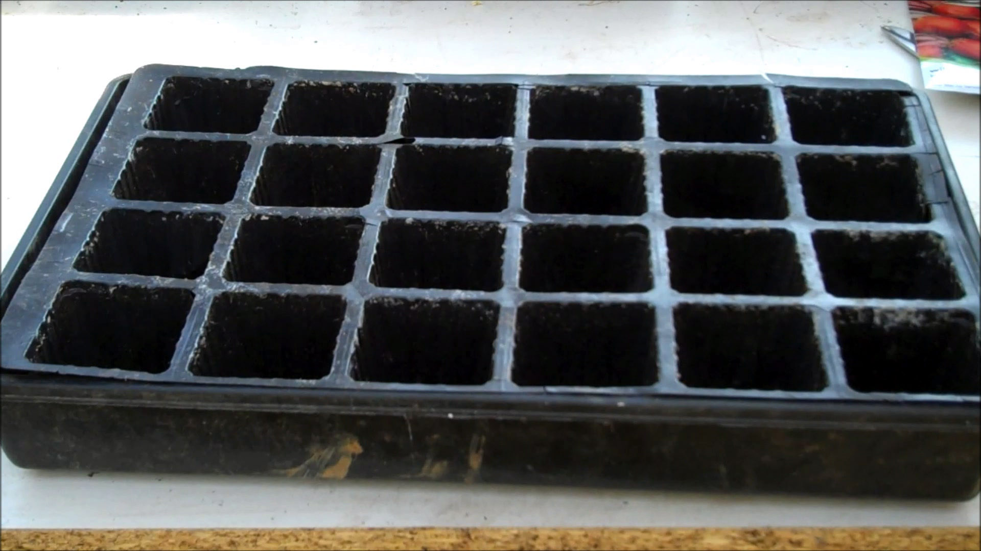 seed tray