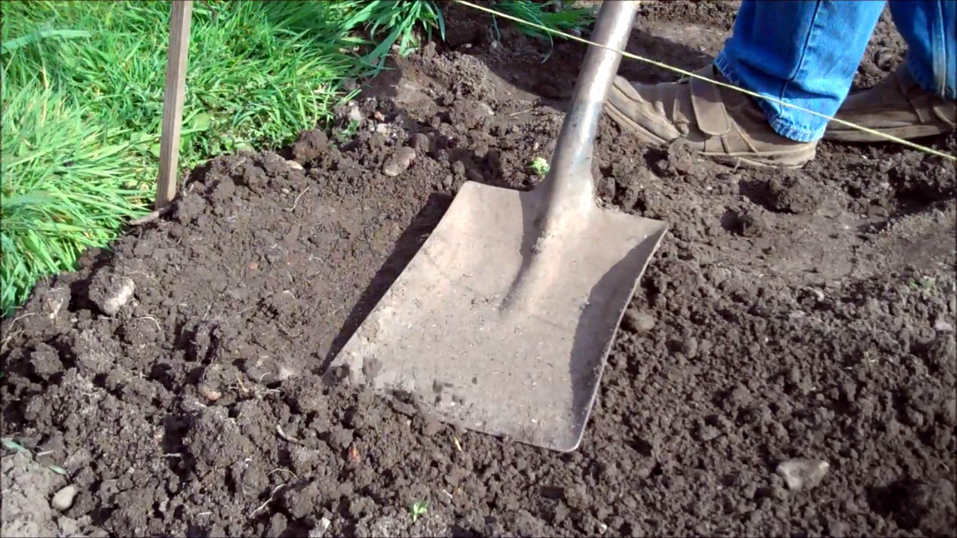 compact soil