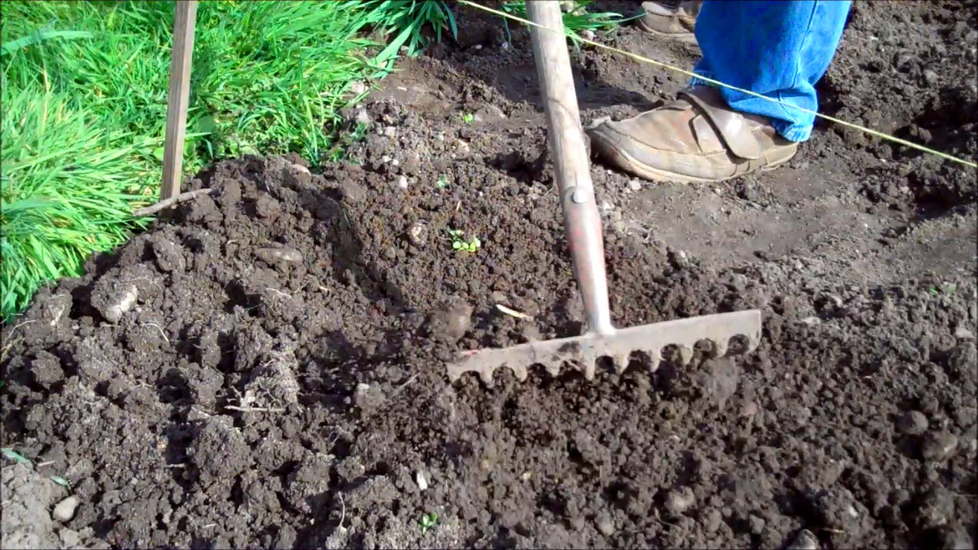rake